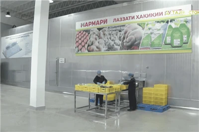 Tadsjikistan slakting og prosesseringsverksted for behandling av verksted