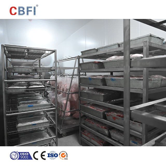 Quick Blast Freezer